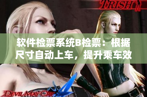 软件检票系统B检票：根据尺寸自动上车，提升乘车效率