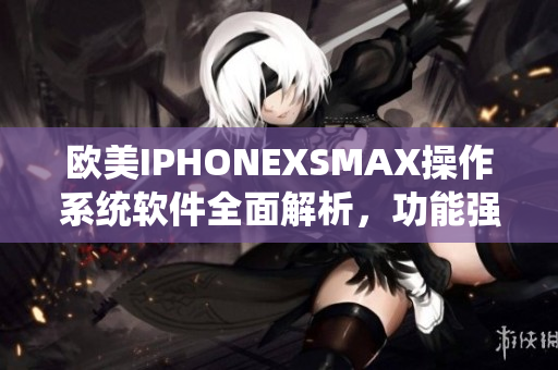 欧美IPHONEXSMAX操作系统软件全面解析，功能强大体验卓越
