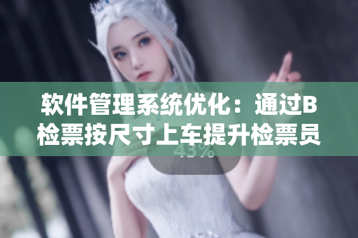 软件管理系统优化：通过B检票按尺寸上车提升检票员效率