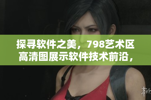 探寻软件之美，798艺术区高清图展示软件技术前沿，欢迎观赏