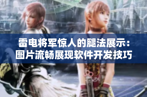 雷电将军惊人的腿法展示：图片流畅展现软件开发技巧
