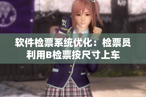 软件检票系统优化：检票员利用B检票按尺寸上车