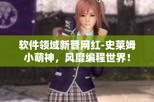 软件领域新晋网红-史莱姆小萌神，风靡编程世界！
