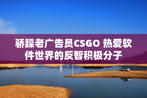 骄躁老广告员CSGO 热爱软件世界的反智积极分子