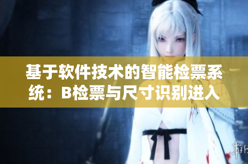 基于软件技术的智能检票系统：B检票与尺寸识别进入新阶段