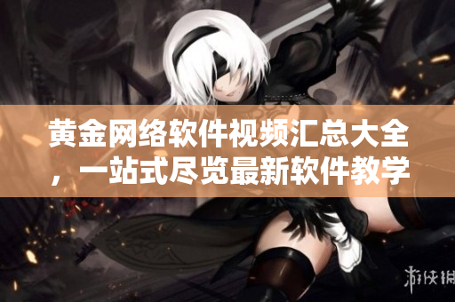 黄金网络软件视频汇总大全，一站式尽览最新软件教学操作技巧