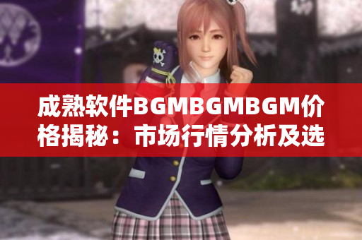 成熟软件BGMBGMBGM价格揭秘：市场行情分析及选购指南