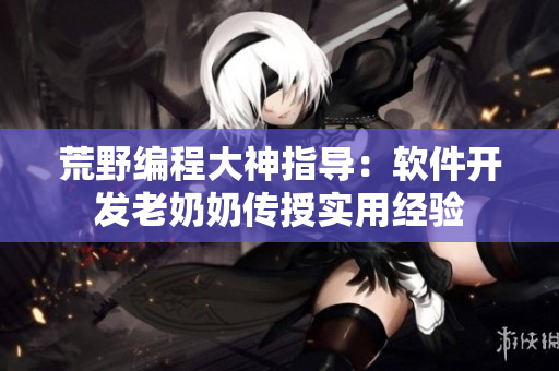 荒野编程大神指导：软件开发老奶奶传授实用经验