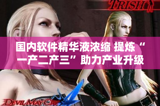 国内软件精华液浓缩 提炼“一产二产三”助力产业升级