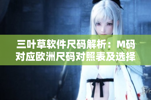三叶草软件尺码解析：M码对应欧洲尺码对照表及选择技巧