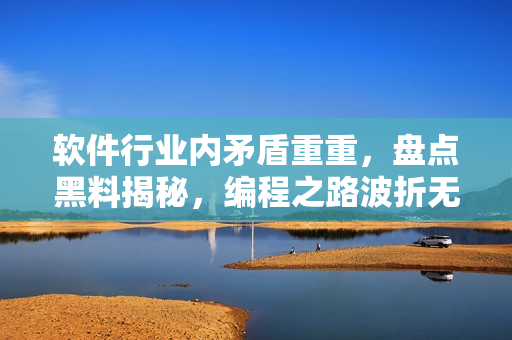 软件行业内矛盾重重，盘点黑料揭秘，编程之路波折无穷