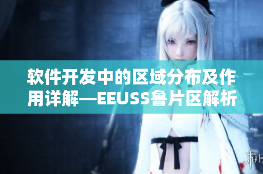软件开发中的区域分布及作用详解—EEUSS鲁片区解析