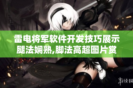 雷电将军软件开发技巧展示腿法娴熟,脚法高超图片赏析 