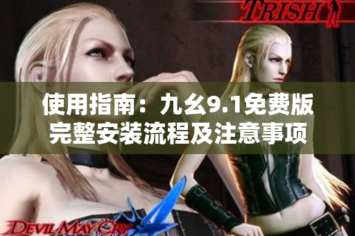 使用指南：九幺9.1免费版完整安装流程及注意事项