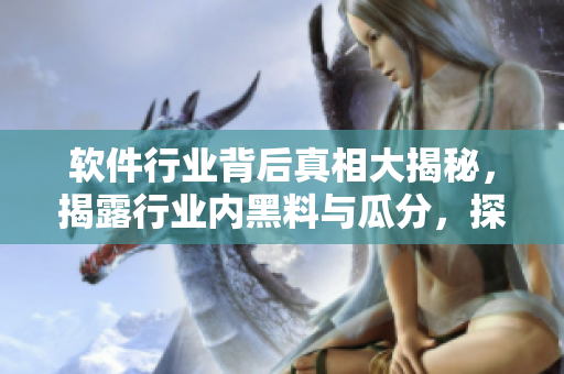 软件行业背后真相大揭秘，揭露行业内黑料与瓜分，探索万里长征的创新征程