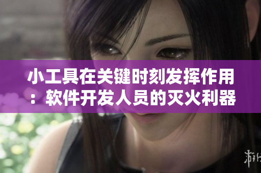 小工具在关键时刻发挥作用：软件开发人员的灭火利器