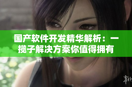 国产软件开发精华解析：一揽子解决方案你值得拥有