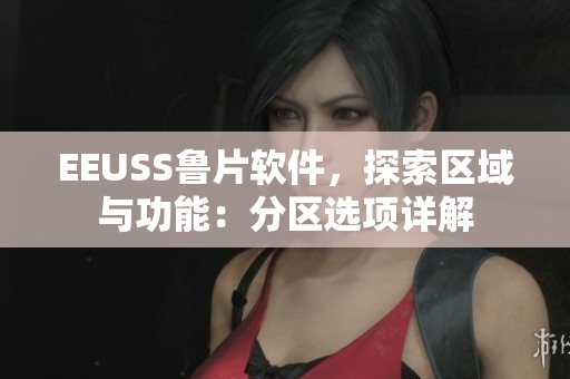 EEUSS鲁片软件，探索区域与功能：分区选项详解