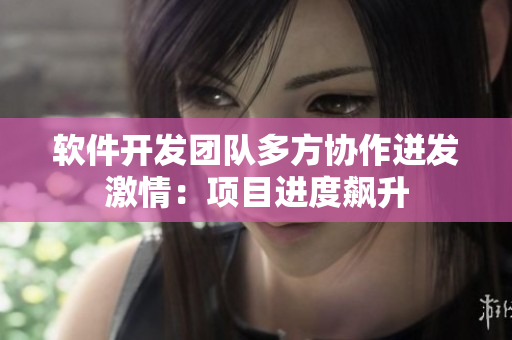 软件开发团队多方协作迸发激情：项目进度飙升