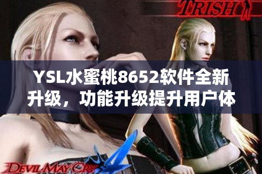YSL水蜜桃8652软件全新升级，功能升级提升用户体验