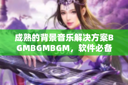 成熟的背景音乐解决方案BGMBGMBGM，软件必备音乐库