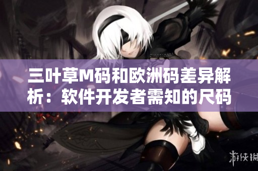 三叶草M码和欧洲码差异解析：软件开发者需知的尺码转换攻略