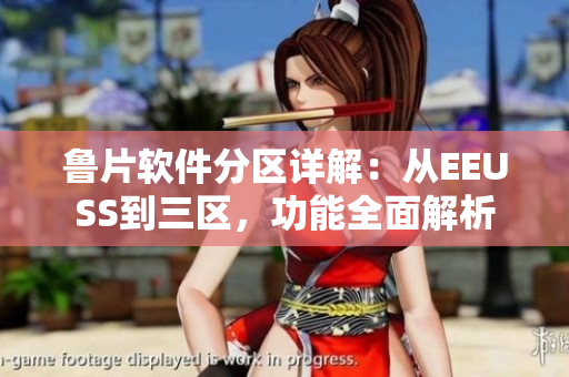鲁片软件分区详解：从EEUSS到三区，功能全面解析