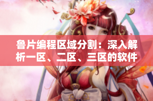 鲁片编程区域分割：深入解析一区、二区、三区的软件开发特点