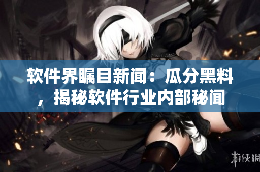 软件界瞩目新闻：瓜分黑料，揭秘软件行业内部秘闻