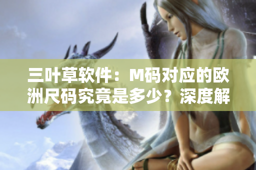 三叶草软件：M码对应的欧洲尺码究竟是多少？深度解读供你参考
