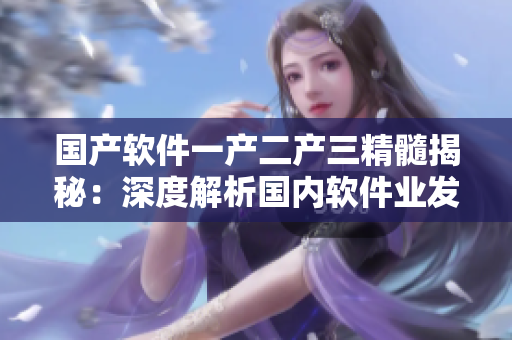 国产软件一产二产三精髓揭秘：深度解析国内软件业发展历程