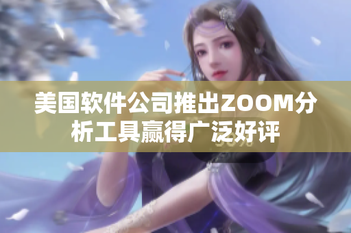 美国软件公司推出ZOOM分析工具赢得广泛好评