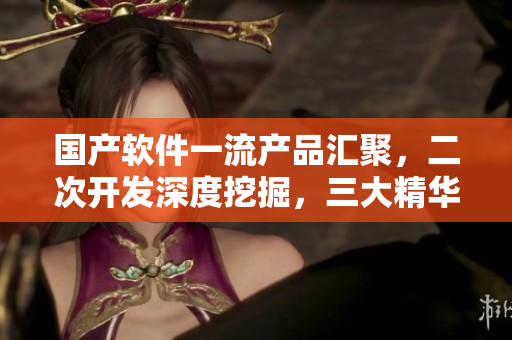 国产软件一流产品汇聚，二次开发深度挖掘，三大精华液助力业务提升