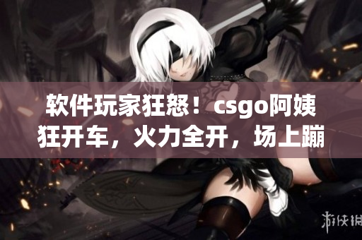 软件玩家狂怒！csgo阿姨狂开车，火力全开，场上蹦迪如痴狂