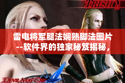 雷电将军腿法娴熟脚法图片--软件界的独家秘笈揭秘，曝光专家级技能详解