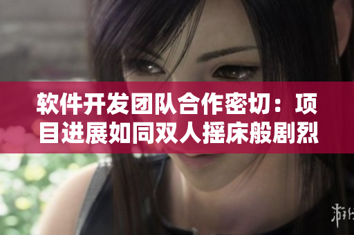 软件开发团队合作密切：项目进展如同双人摇床般剧烈运动