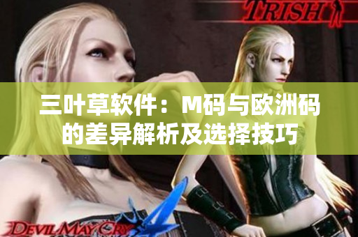 三叶草软件：M码与欧洲码的差异解析及选择技巧
