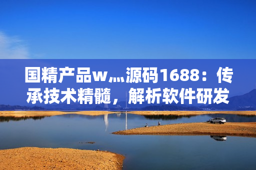 国精产品w灬源码1688：传承技术精髓，解析软件研发之道