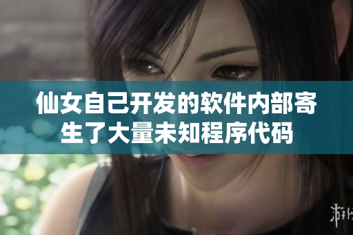 仙女自己开发的软件内部寄生了大量未知程序代码