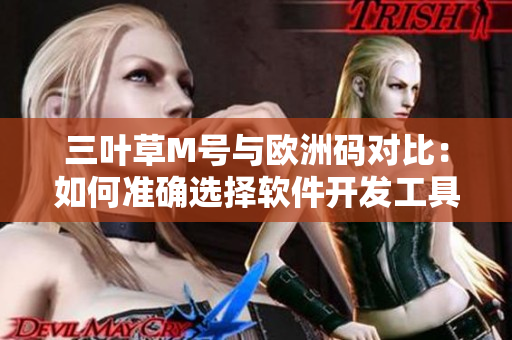三叶草M号与欧洲码对比：如何准确选择软件开发工具尺码