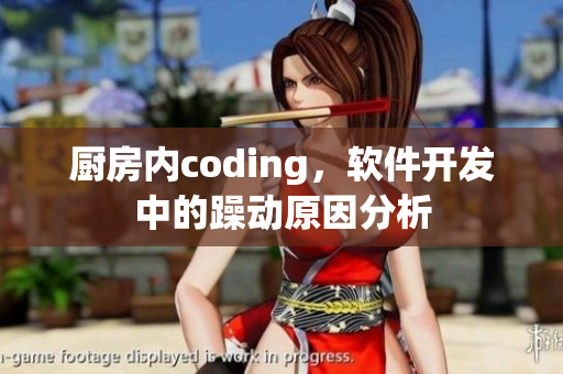 厨房内coding，软件开发中的躁动原因分析