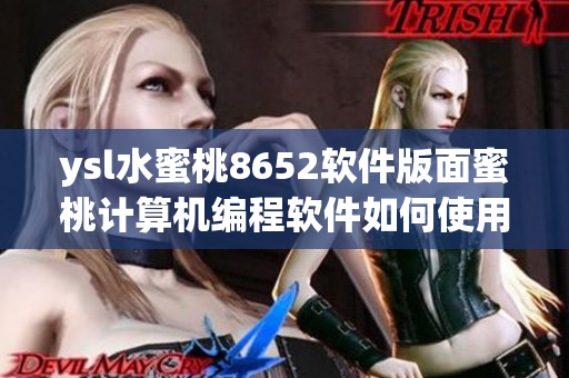 ysl水蜜桃8652软件版面蜜桃计算机编程软件如何使用