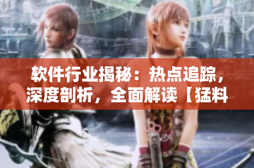 软件行业揭秘：热点追踪，深度剖析，全面解读【猛料】