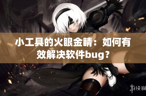 小工具的火眼金睛：如何有效解决软件bug？