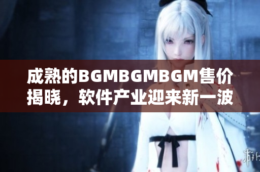 成熟的BGMBGMBGM售价揭晓，软件产业迎来新一波挑战