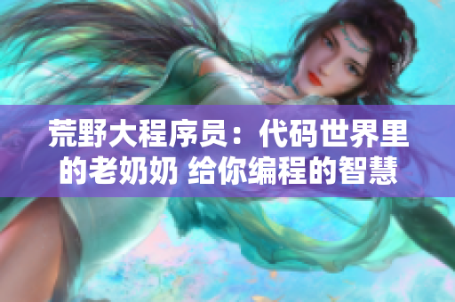 荒野大程序员：代码世界里的老奶奶 给你编程的智慧