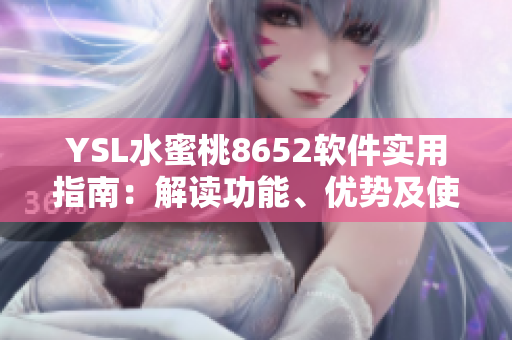 YSL水蜜桃8652软件实用指南：解读功能、优势及使用技巧