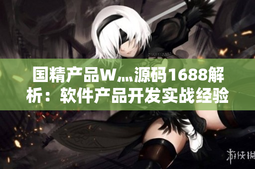 国精产品W灬源码1688解析：软件产品开发实战经验分享