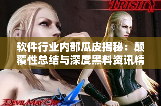 软件行业内部瓜皮揭秘：颠覆性总结与深度黑料资讯精选