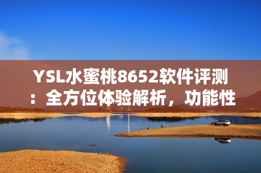 YSL水蜜桃8652软件评测：全方位体验解析，功能性与易用性全面分析